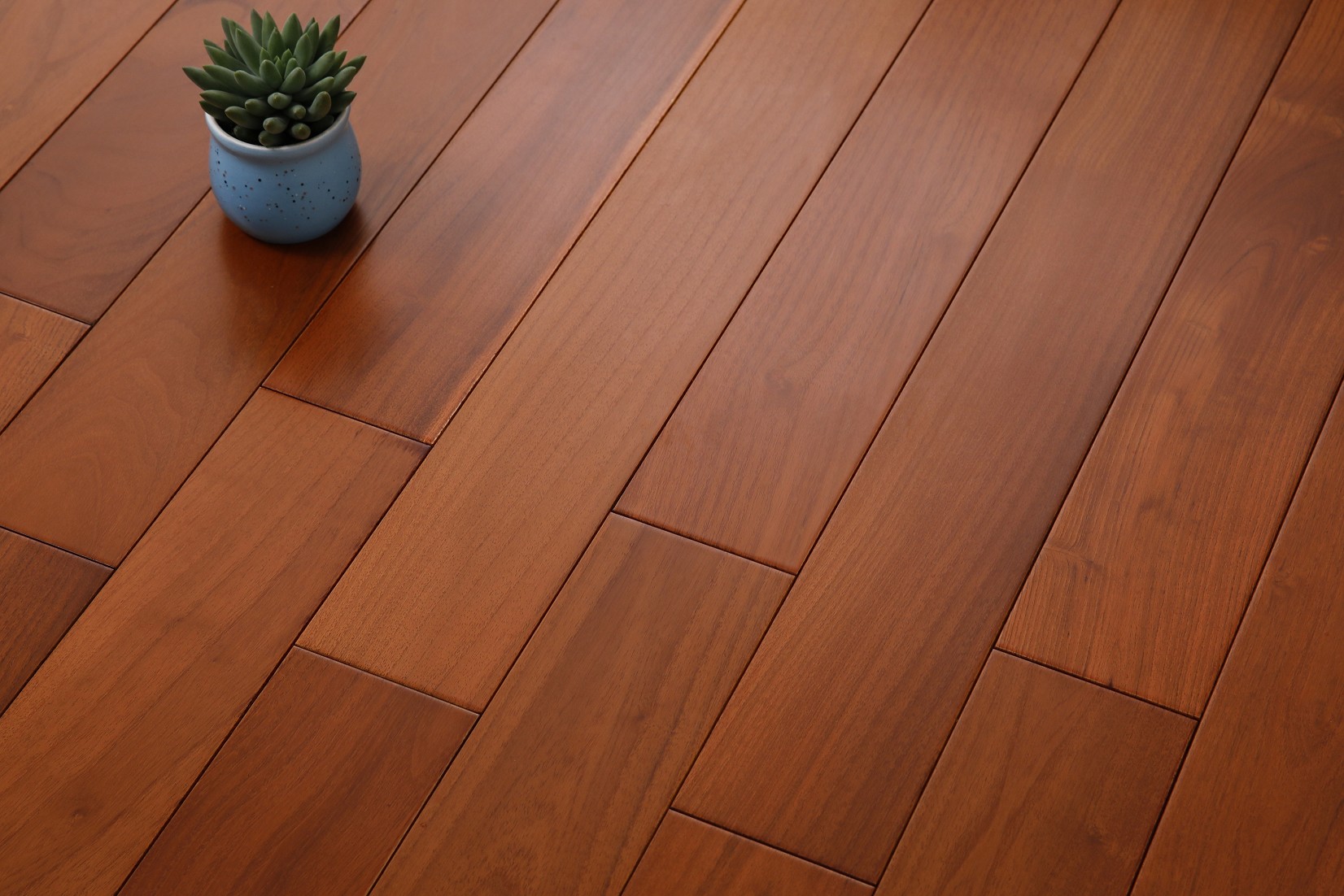 _H4A3315_眸目压缩_眸目压缩