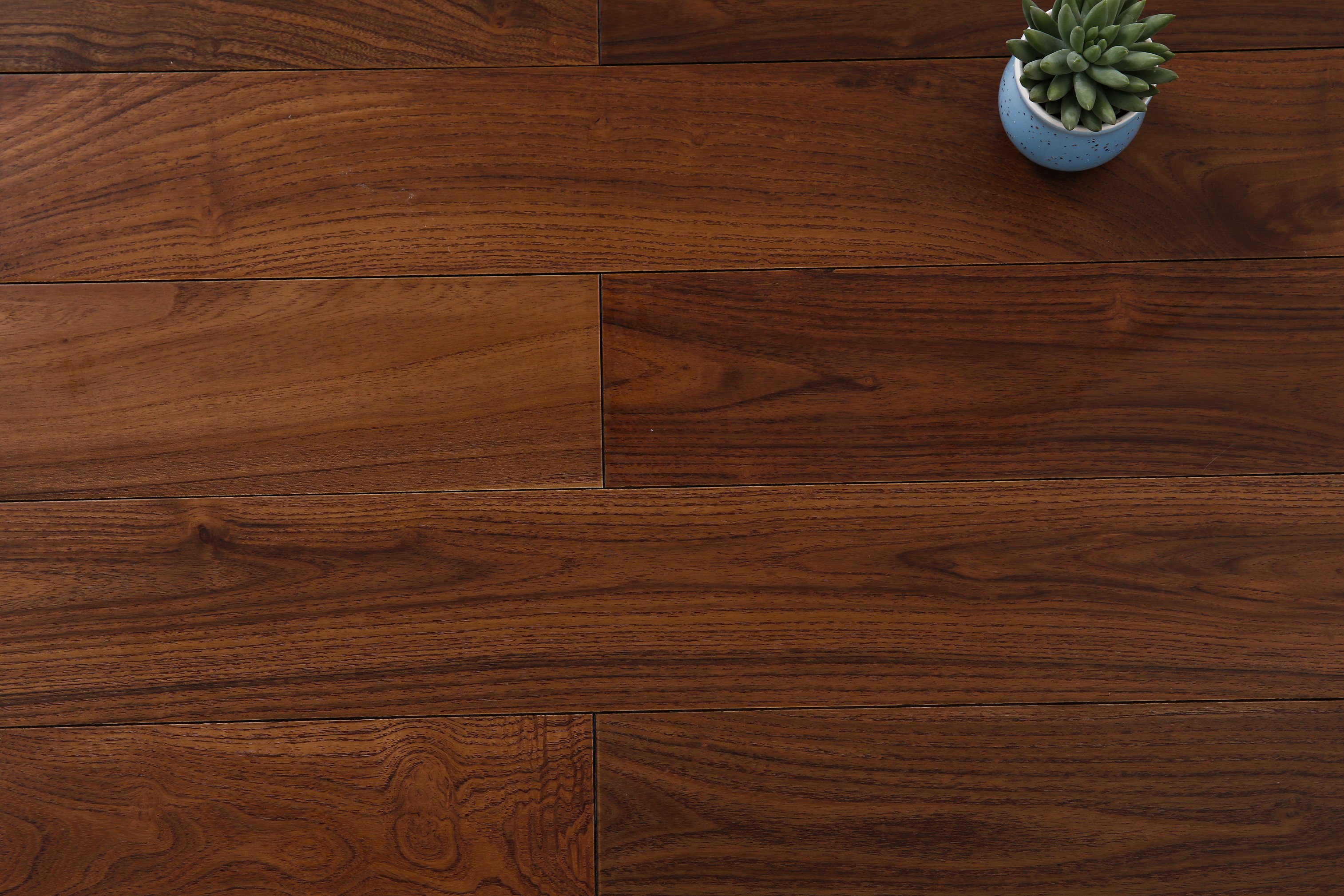 _H4A4548_眸目压缩