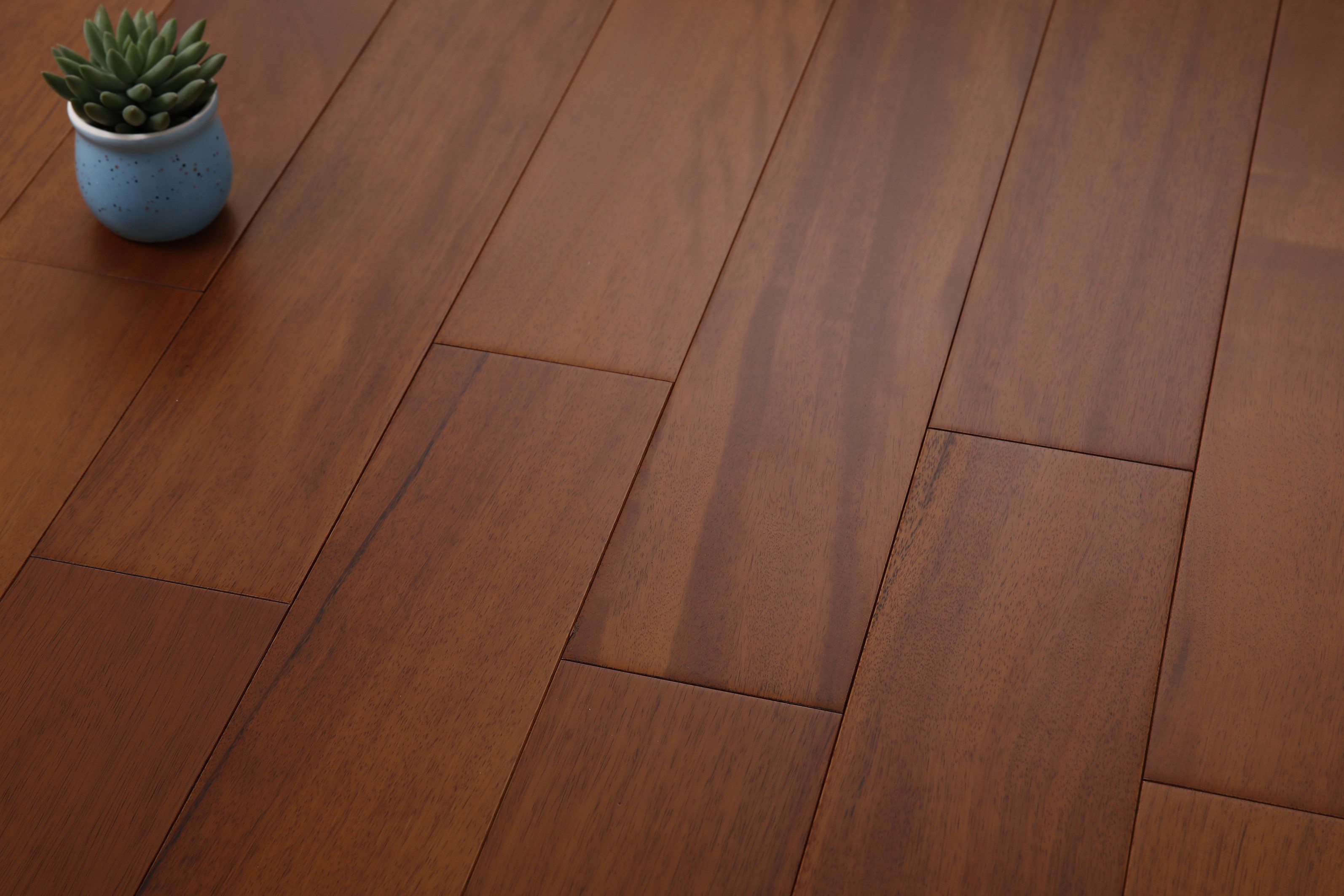 _H4A5581_眸目压缩